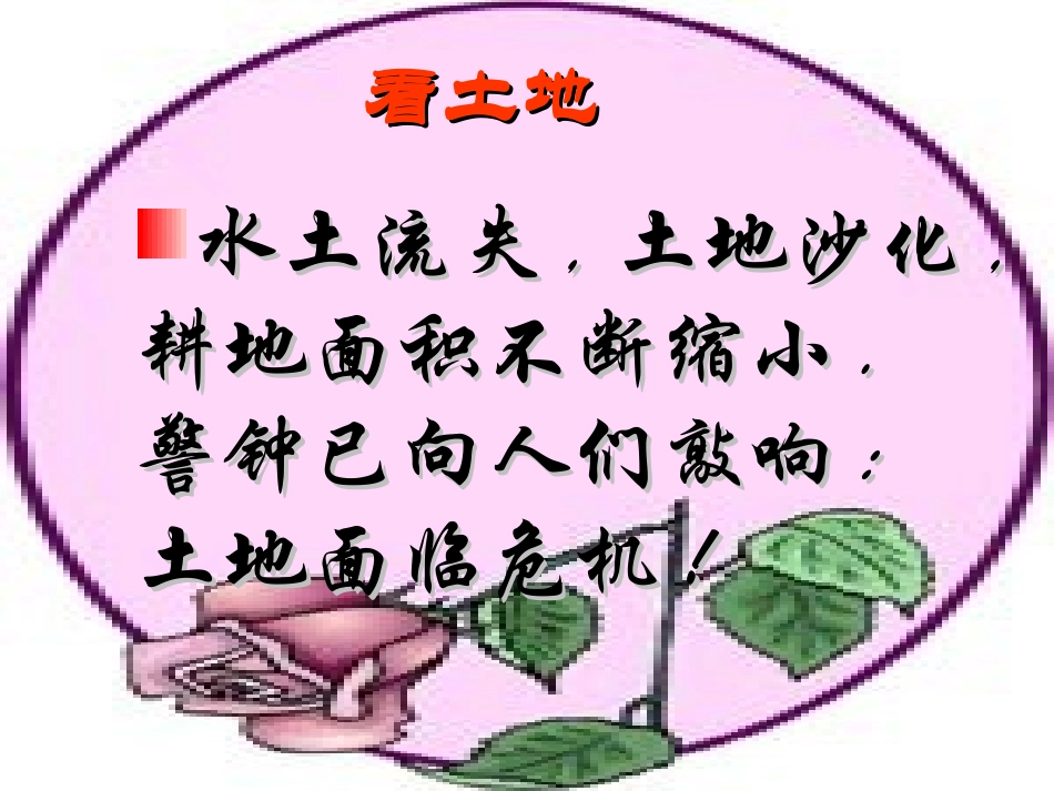 语文综合活动《脚踏一方土》_第3页