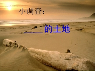 黄红平这片土地是神圣