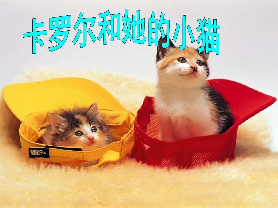 《卡罗尔和她的小猫》课件_第3页