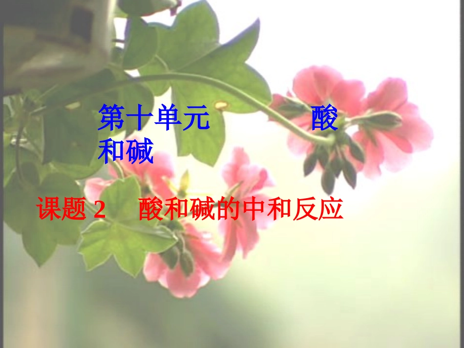 初中化学酸和碱的中和反应_第1页