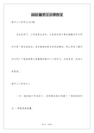 2024做手工小学作文