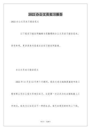 2024办公文员实习报告_6