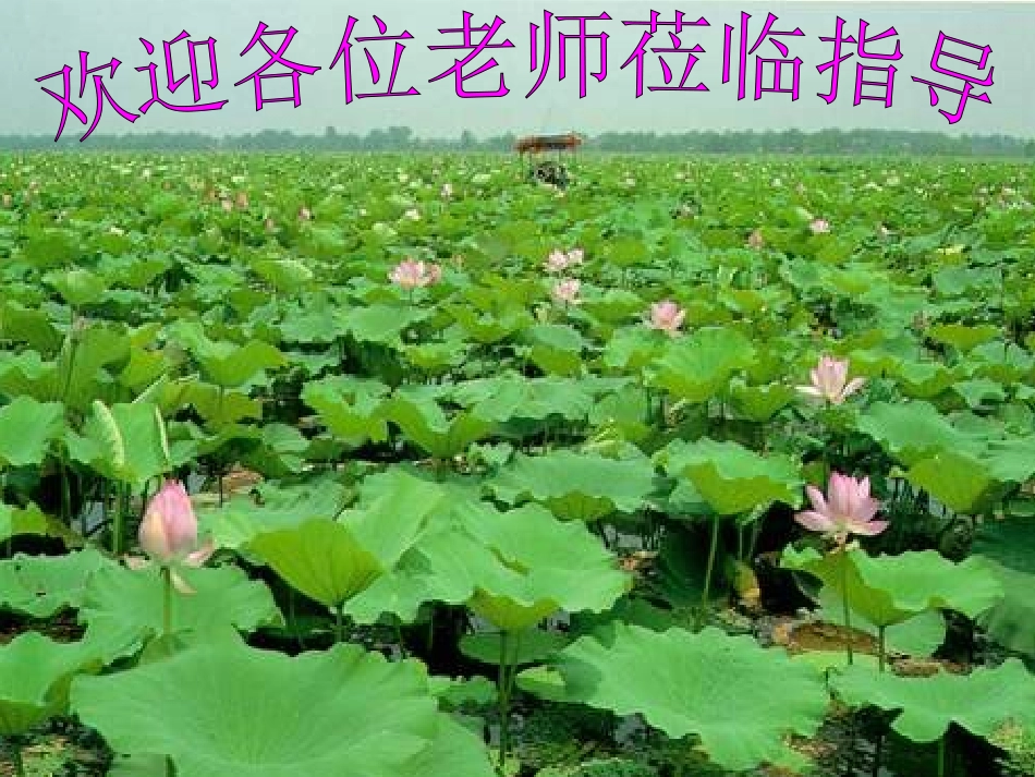 世界的地形课件 (2)_第1页