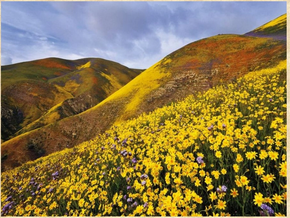 世界的地形课件 (2)_第3页