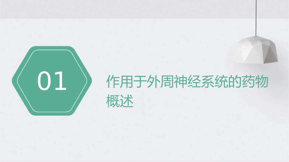 动物药理学 作用于外周神经系统药物传出神经系统药物护理课件_第3页