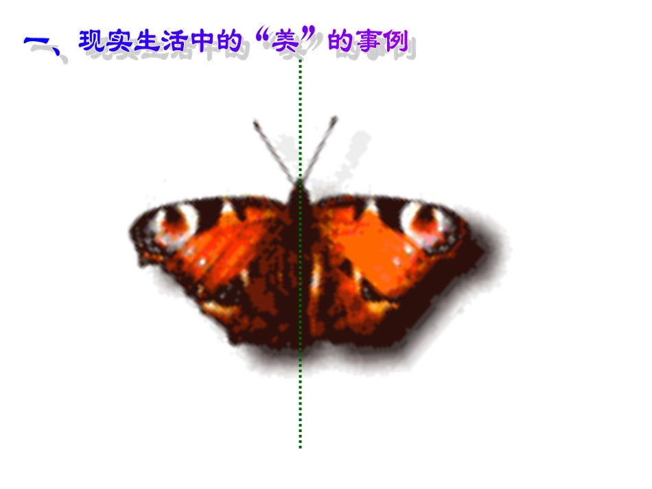 高一数学函数的奇偶性课件_第3页