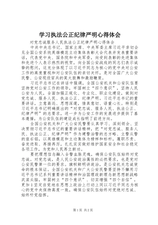 学习执法公正纪律严明体会心得