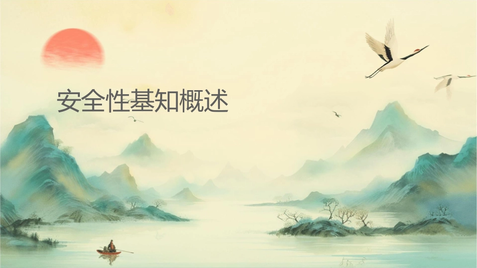 安全性基础知识概述课件_第1页