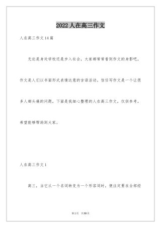 2024人在高三作文_2