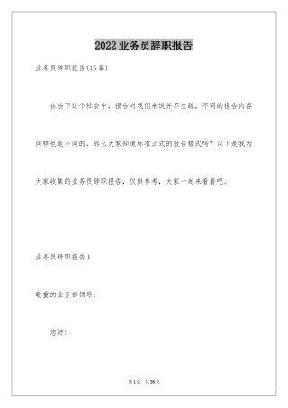 2024业务员辞职报告_13