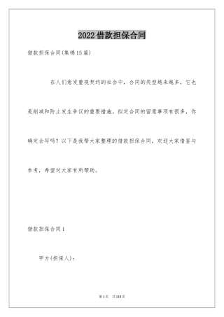 2024借款担保合同_5