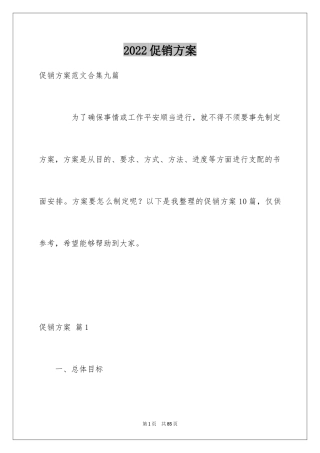 2024促销方案_34