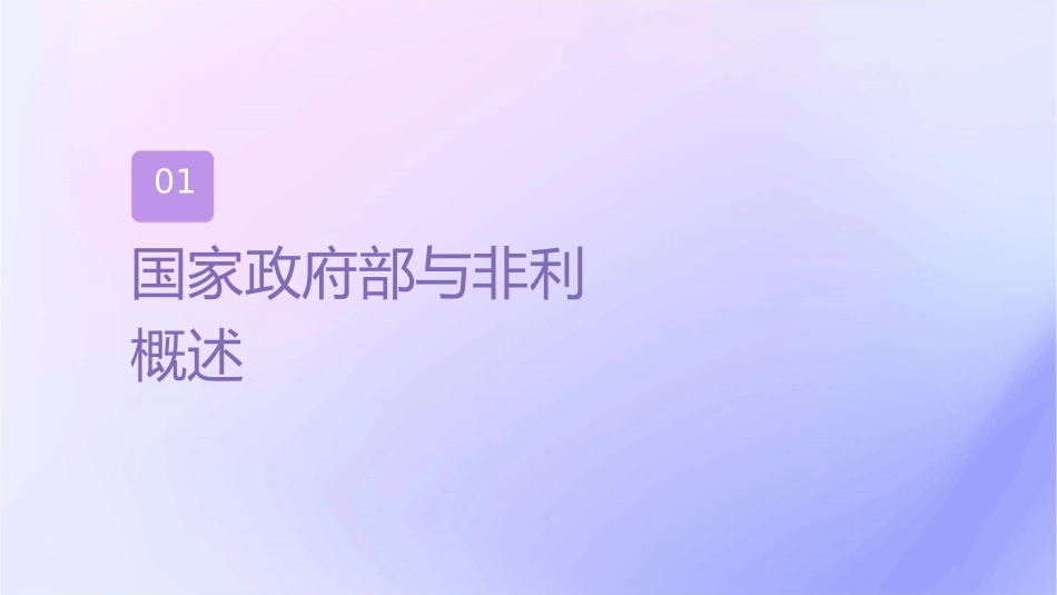 国家政府部门非营利组织课件_第3页