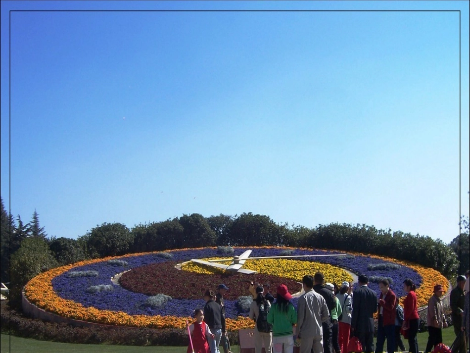 沪江小学资源网_13花钟_(2)_2013010755000253_908_第2页