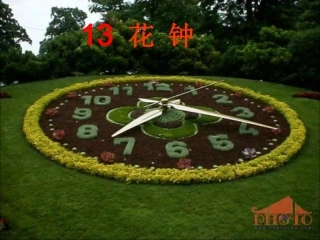 沪江小学资源网_13花钟_(2)_2013010755000253_908