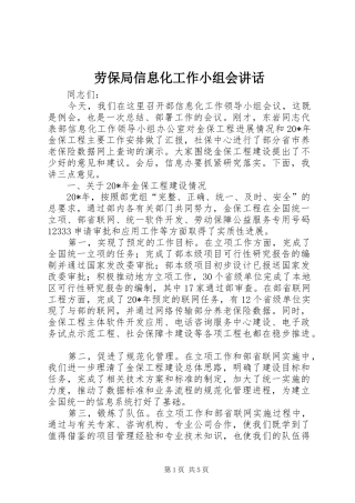 劳保局信息化工作小组会讲话发言