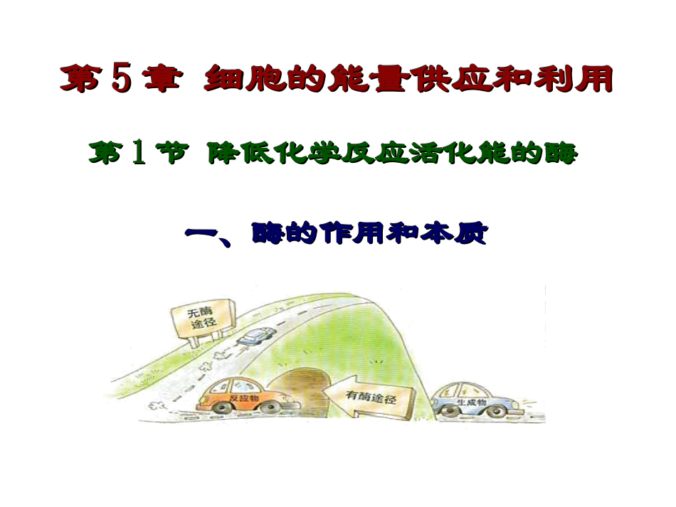 降低化学反应活化能的酶_第1页