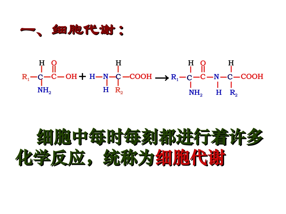 降低化学反应活化能的酶_第3页