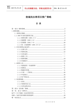 某浅水湾项目营销推广策略