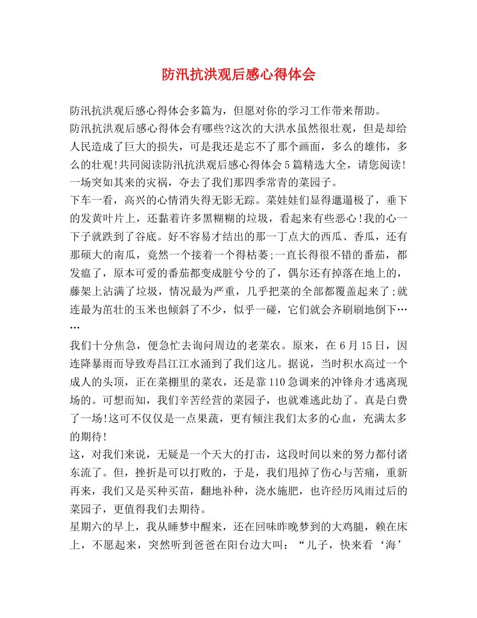 防汛抗洪观后感心得体会 _第1页