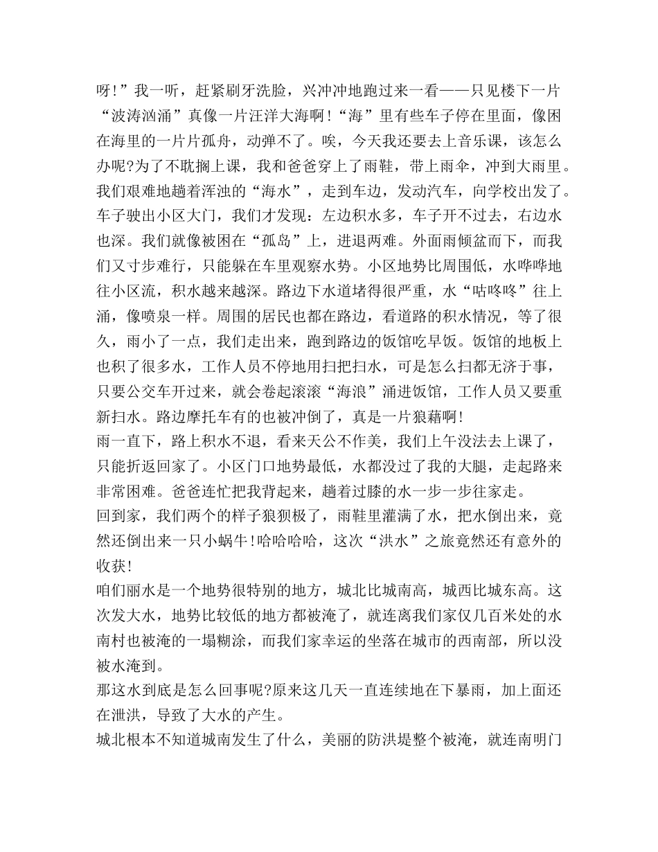 防汛抗洪观后感心得体会 _第2页