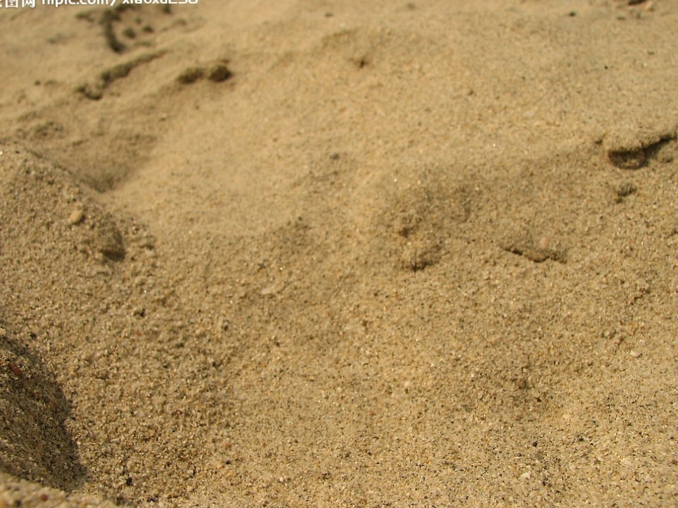 圆圆的沙粒课件_第3页