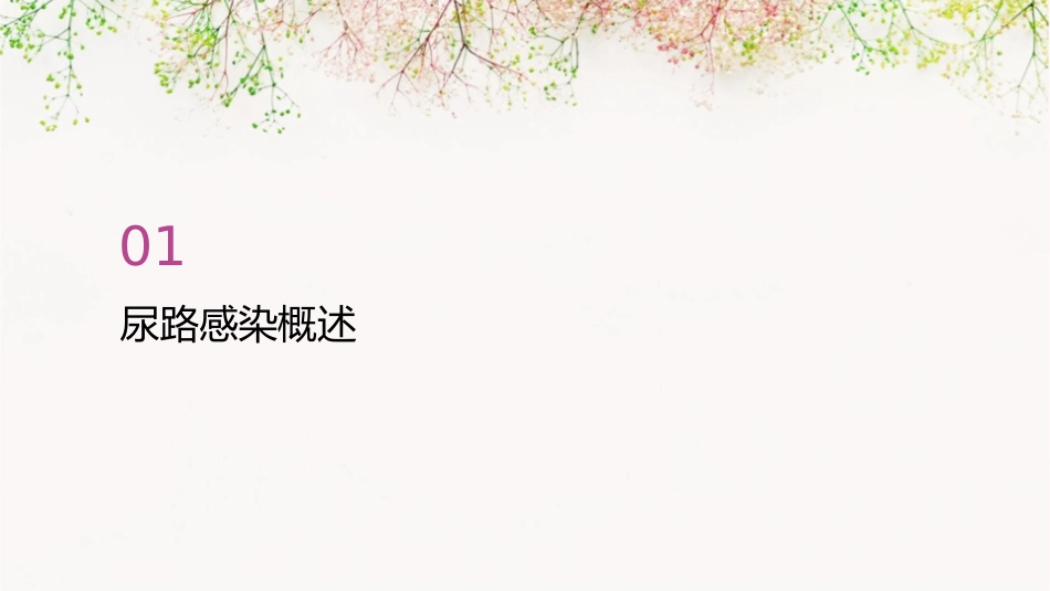 女性必备之尿路感染2护理课件_第3页