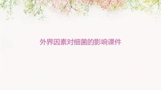 外界因素对细菌的影响课件
