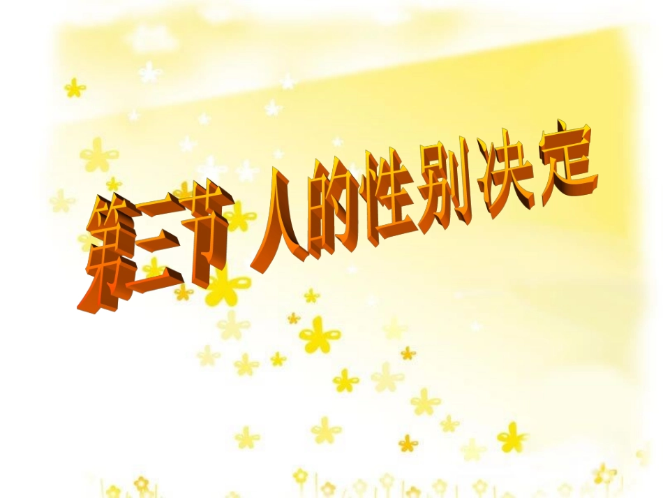 人的性别决定_第2页