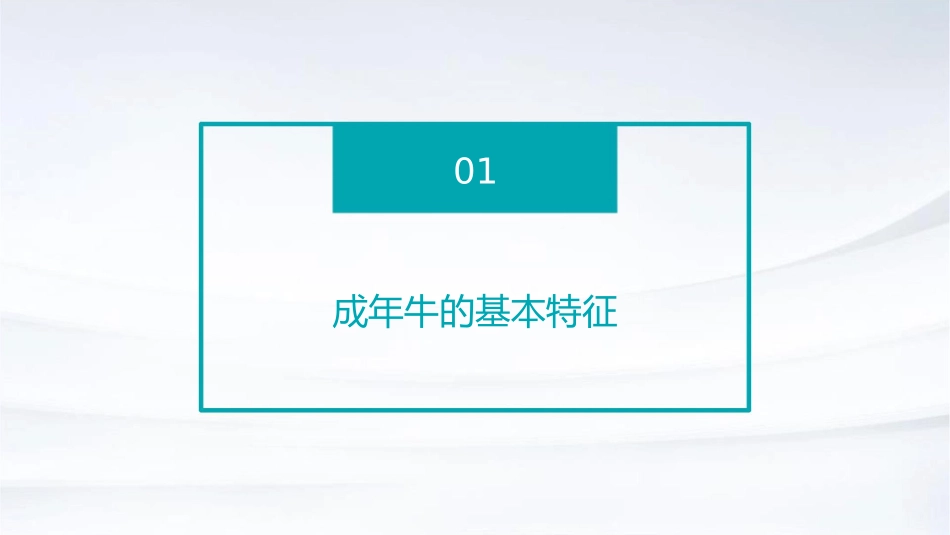 奶牛的饲养管理成年牛的饲养管理护理课件_第3页