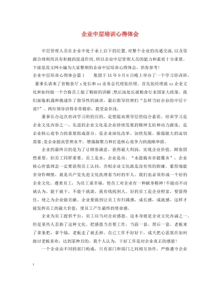 企业中层培训心得体会 