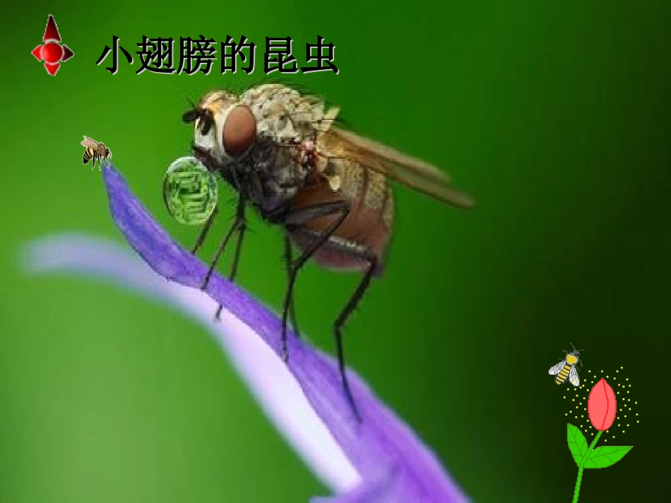 《有趣的发现》_第3页