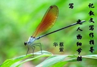 记叙文写作指导之人物润色