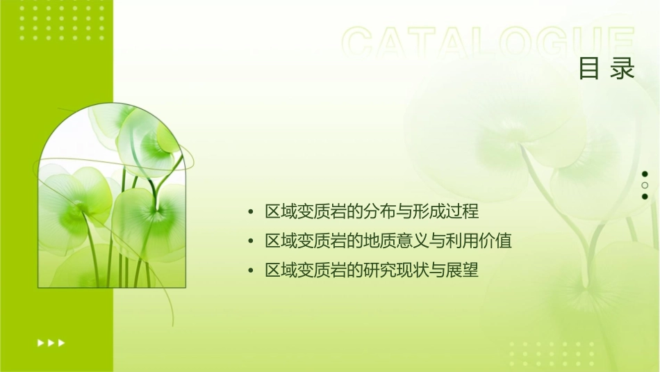 变质岩区域变质岩概述课件_第2页