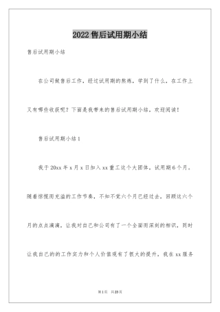 2024售后试用期小结