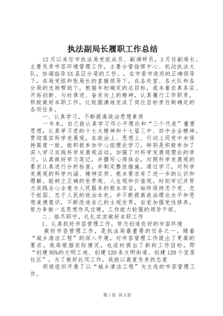 执法副局长履职工作总结 