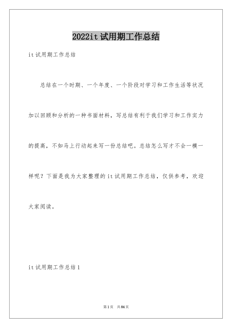 2024it试用期工作总结_1_第1页