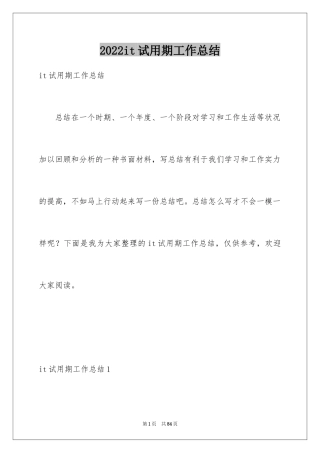 2024it试用期工作总结_1