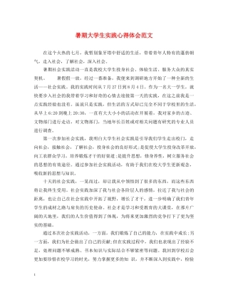 暑期大学生实践心得体会范文 
