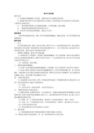 树木中的纹路