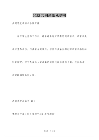 2024共同还款承诺书_25