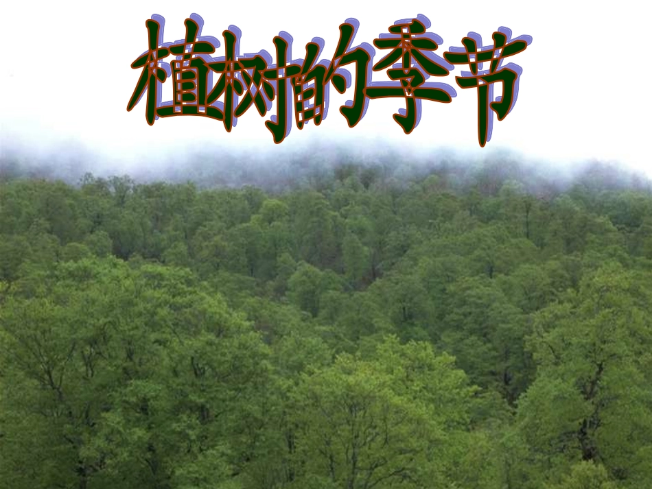 二年级语文植树的季节_第1页