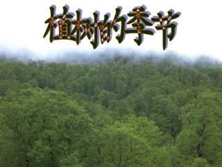 二年级语文植树的季节