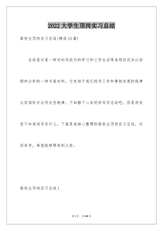 2024大学生顶岗实习总结_1