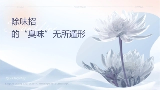 卫生间除味妙招让难闻的“臭味”无所遁形课件