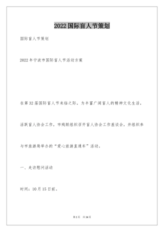 2024国际盲人节策划