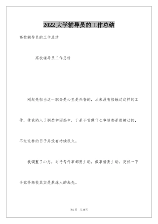 2024大学辅导员的工作总结