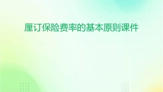 厘订保险费率的基本原则课件