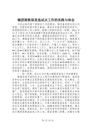 镇团委换届直选试点工作的实践与体会