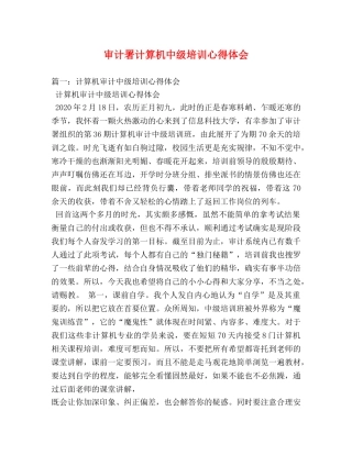 审计署计算机中级培训心得体会 